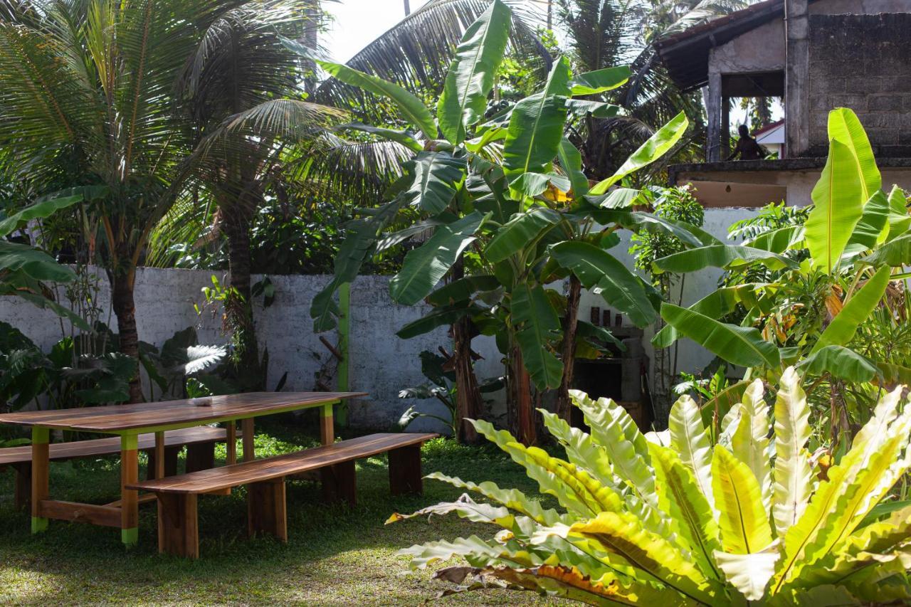 Marshmallow Homestay อาฮานกามา ภายนอก รูปภาพ