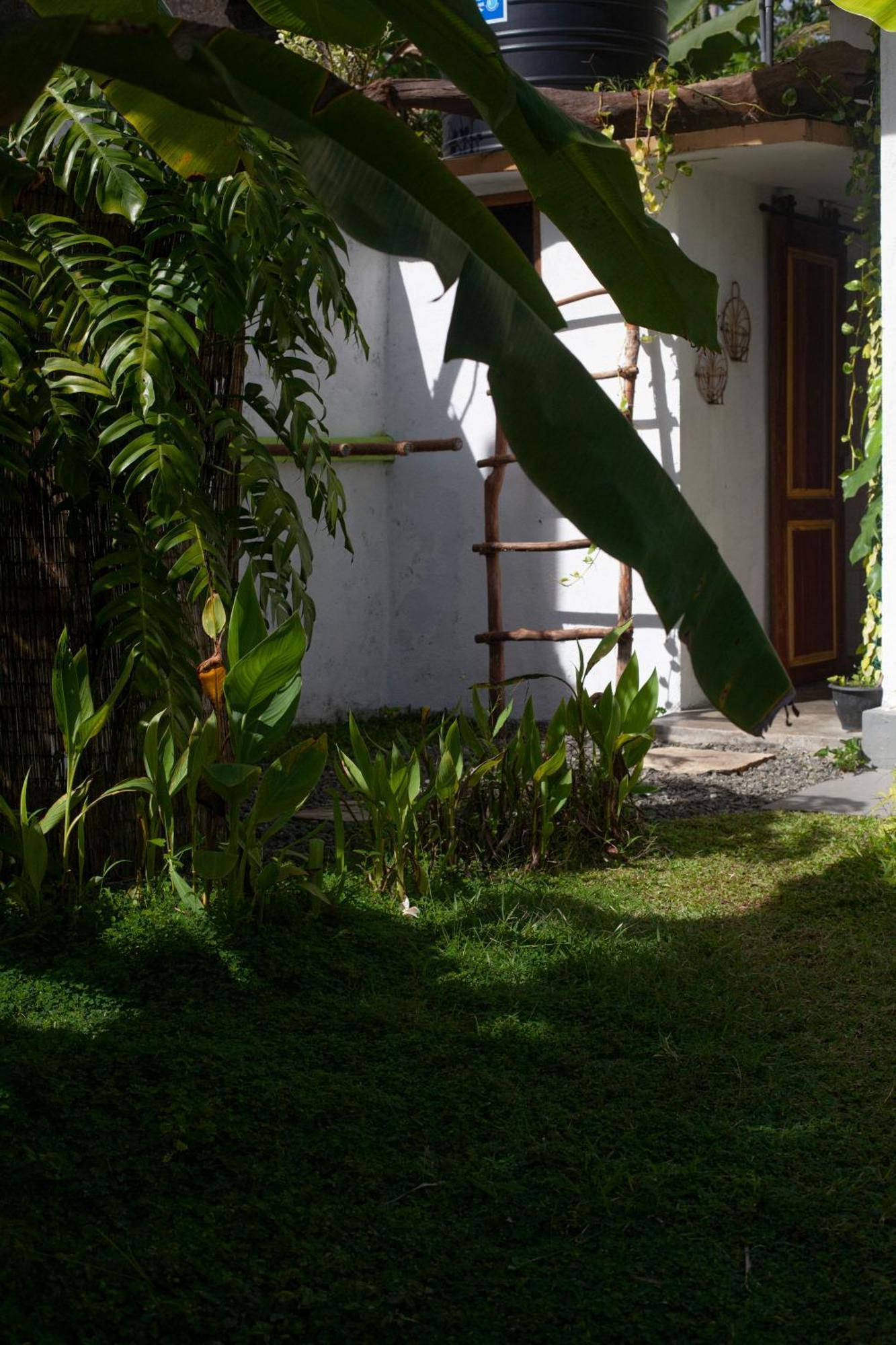 Marshmallow Homestay อาฮานกามา ภายนอก รูปภาพ